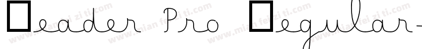 Reader Pro Regular字体转换
